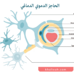 حاجز دموي دماغي
