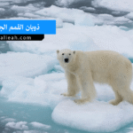 ذوبان القمم الجليدية