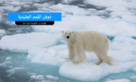 ذوبان القمم الجليدية