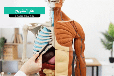 علم التشريح