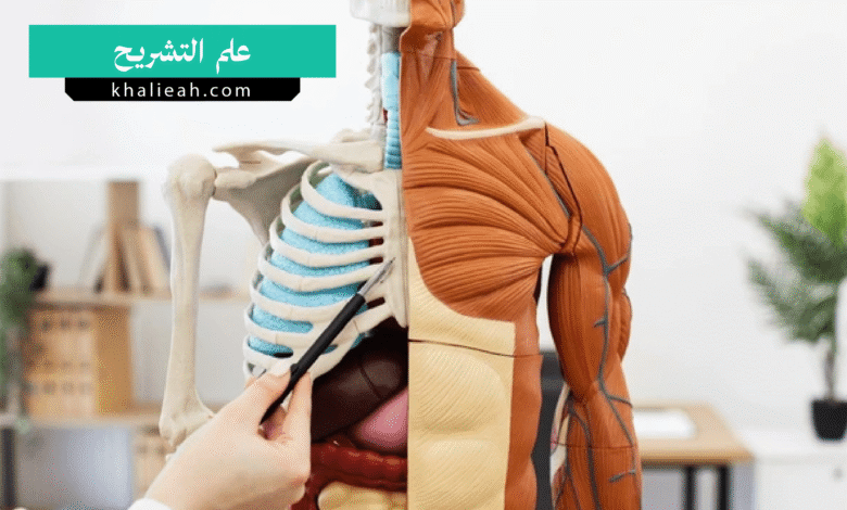 علم التشريح