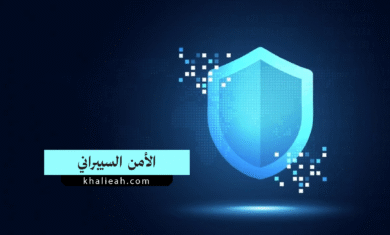 الأمن السيبراني