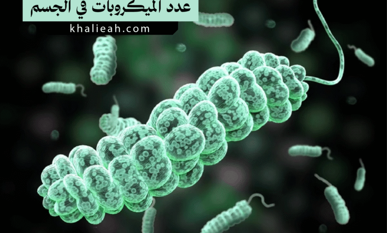 عدد الميكروبات في الجسم