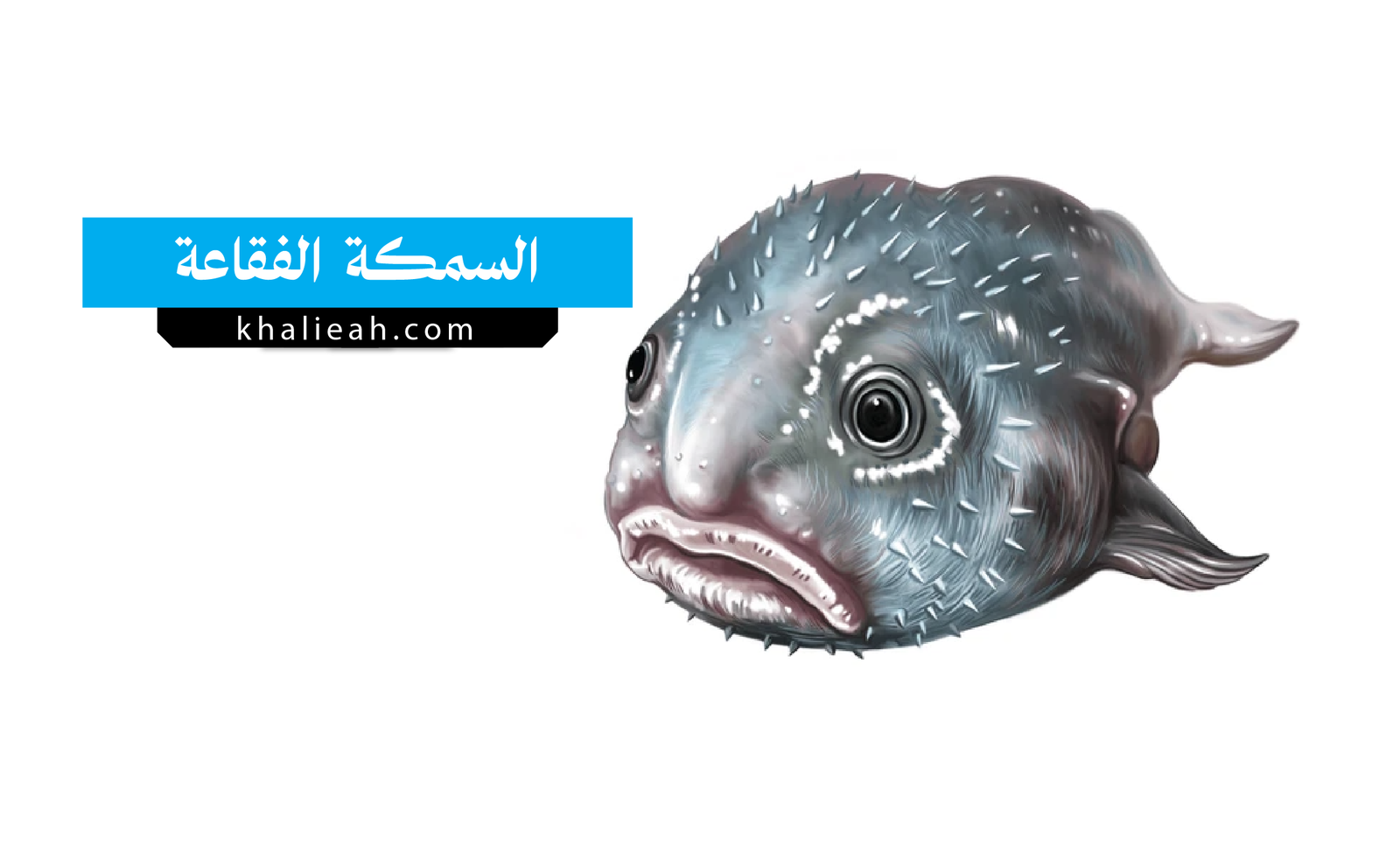 السمكة الفقاعة