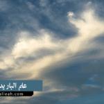 علم الباريدوليا
