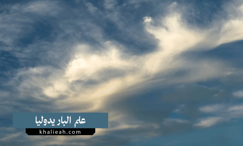 علم الباريدوليا