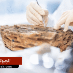 الجيولوجيا