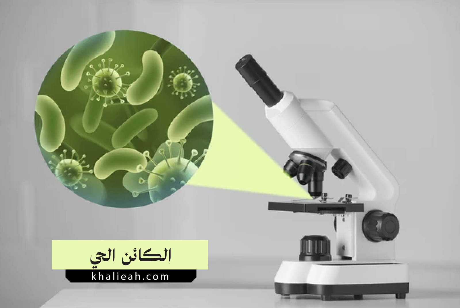 الكائن الحي