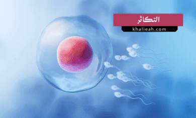 التكاثر
