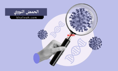 الحمض النووي