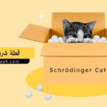 قطة شرودنجر