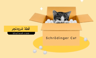 قطة شرودنجر