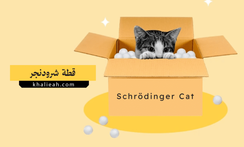 قطة شرودنجر