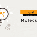 الجزيء (Molecule):