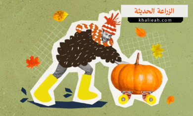 الزراعة الحديثة