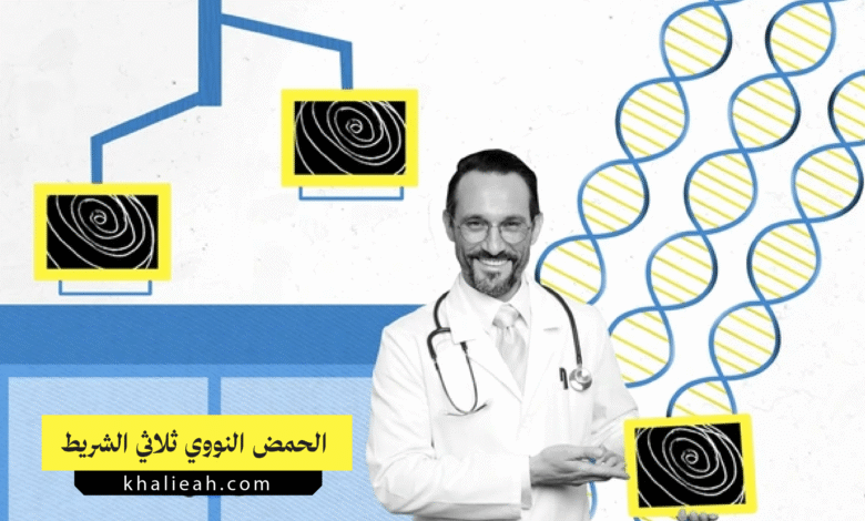 الحمض النووي ثلاثي الشريط