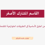 القاسم المشترك الأصغر