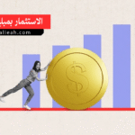 الاستثمار بمبلغ صغير