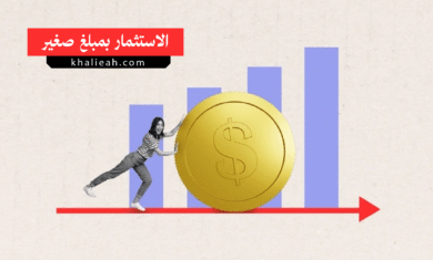 الاستثمار بمبلغ صغير