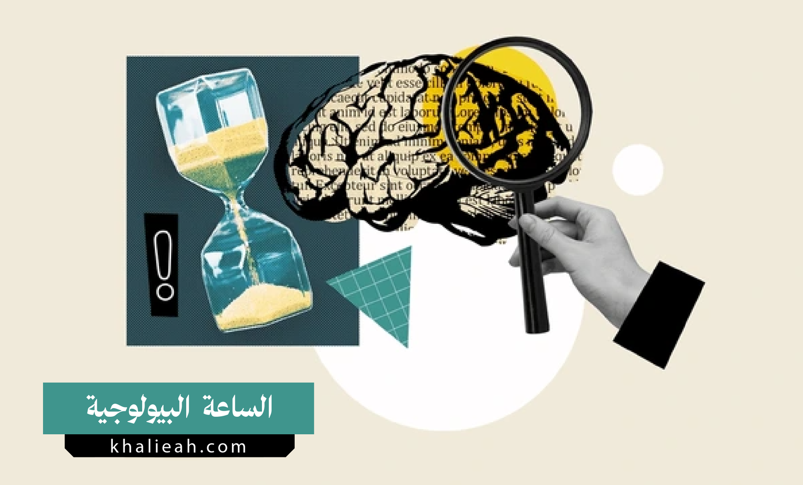 الساعة البيولوجية