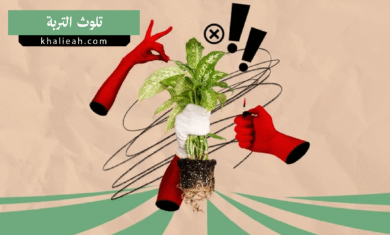 تلوث التربة