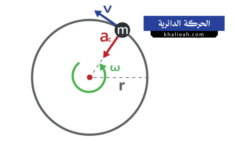 الحركة الدائرية