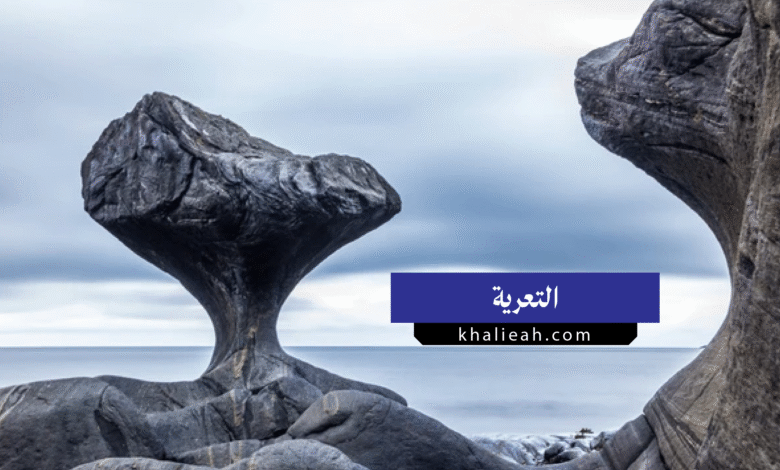 التعرية (Erosion)