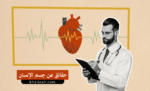 حقائق مذهلة عن جسم الإنسان: كيف ينبض قلبك أكثر من 100 ألف مرة يوميًا؟