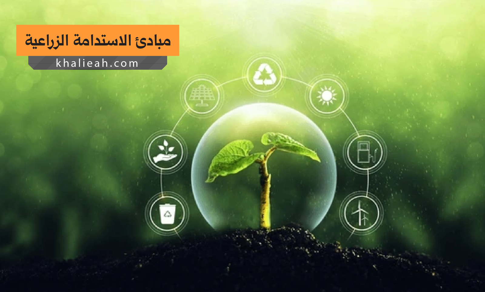 مبادئ الاستدامة الزراعية