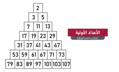 الأعداد الأولية - Prime Numbers