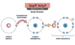 الروابط الأيونية - Ionic Bonds