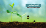 النمو البيولوجي