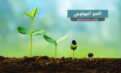 النمو البيولوجي