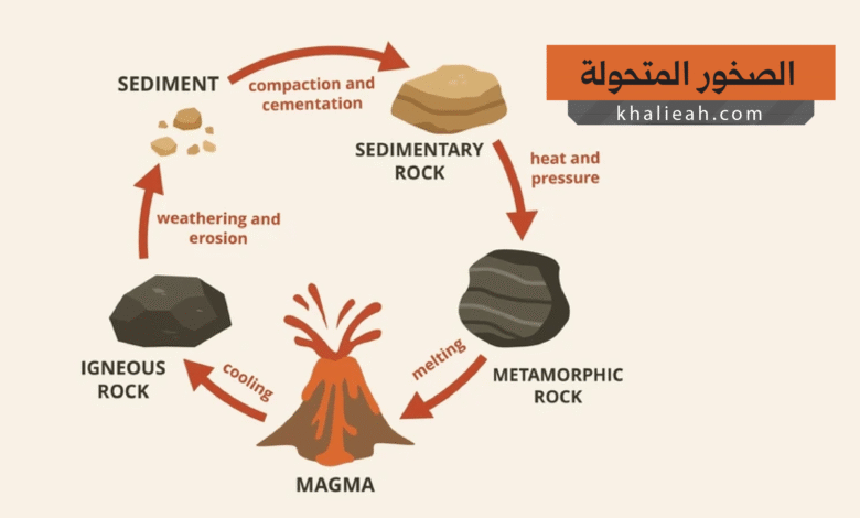 الصخور المتحولة (Metamorphic Rocks)