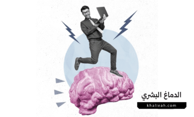 الدماغ البشري