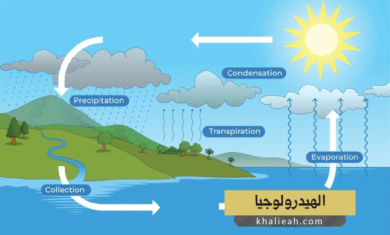 الهيدرولوجيا (Hydrology)