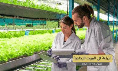 الزراعة في البيوت الزجاجية