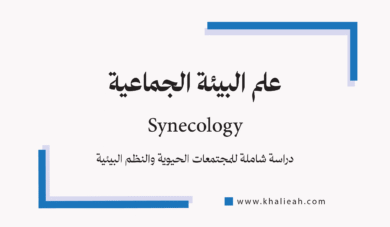 علم البيئة الجماعية (Synecology)