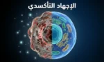 صورة غلاف تُظهر خلية بشرية مكبّرة نصفها سليم ونصفها متضرر بفعل الإجهاد التأكسدي مع عنوان الإجهاد التأكسدي
