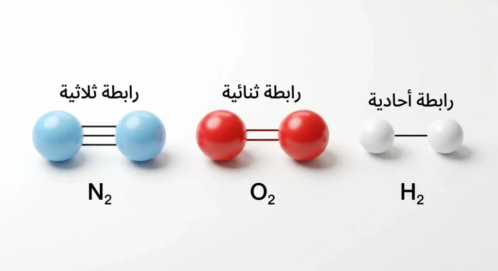 مقارنة بصرية بين ثلاثة جزيئات توضح الرابطة الأحادية في الهيدروجين والرابطة الثنائية في الأكسجين والرابطة الثلاثية في النيتروجين
