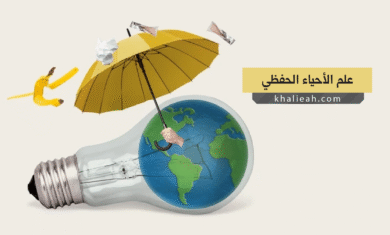 علم الأحياء الحفظي