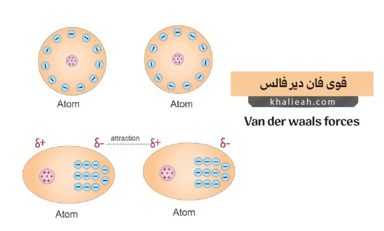 قوى فان دير فالس