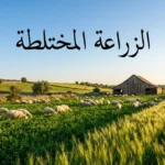 مزرعة عربية متكاملة تجمع بين حقول البرسيم والقمح وقطيع أغنام ترعى، مع عنوان "الزراعة المختلطة"