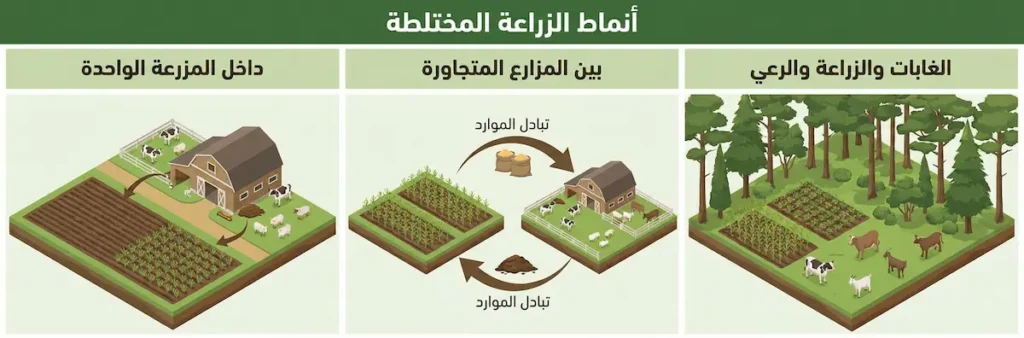 إنفوجرافيك يعرض ثلاثة أنماط: الزراعة المختلطة داخل المزرعة الواحدة، بين المزارع المتجاورة، وأنظمة الغابات والزراعة والرعي