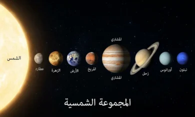 نموذج تعليمي يُظهر كرة سلة تمثل الشمس وحبة فلفل تمثل الأرض لتوضيح الفرق الهائل في المسافات والأحجام