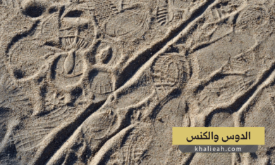 الدوس والكنس