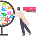 الكائنات الحية