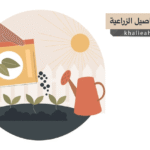 تدوير المحاصيل الزراعية