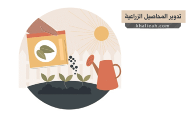 تدوير المحاصيل الزراعية