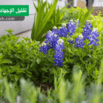 تقليل الإجهاد على النباتات